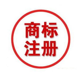 全面解析商務信息咨詢公司的注冊流程與要點