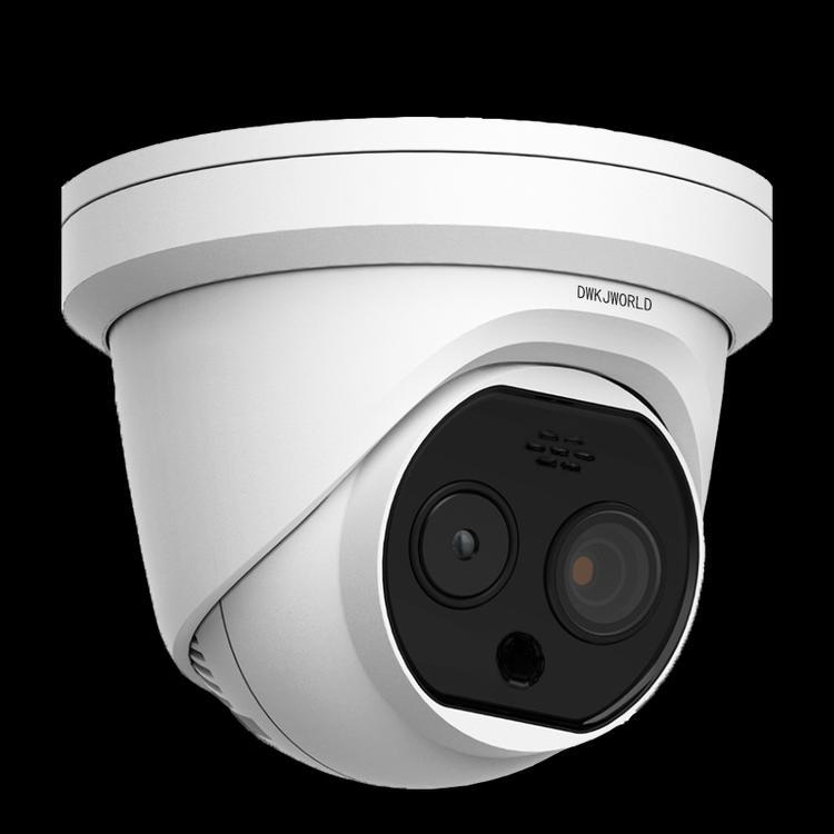 dwkjworld 熱成像雙光譜半球型網絡攝像機 DW9413A 安防監控的智能之眼